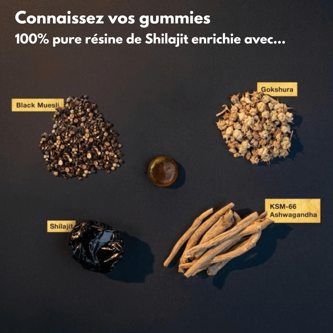 Shilajit Essence Gummies