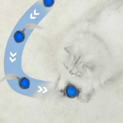 Balle Interactive Rapide Chat