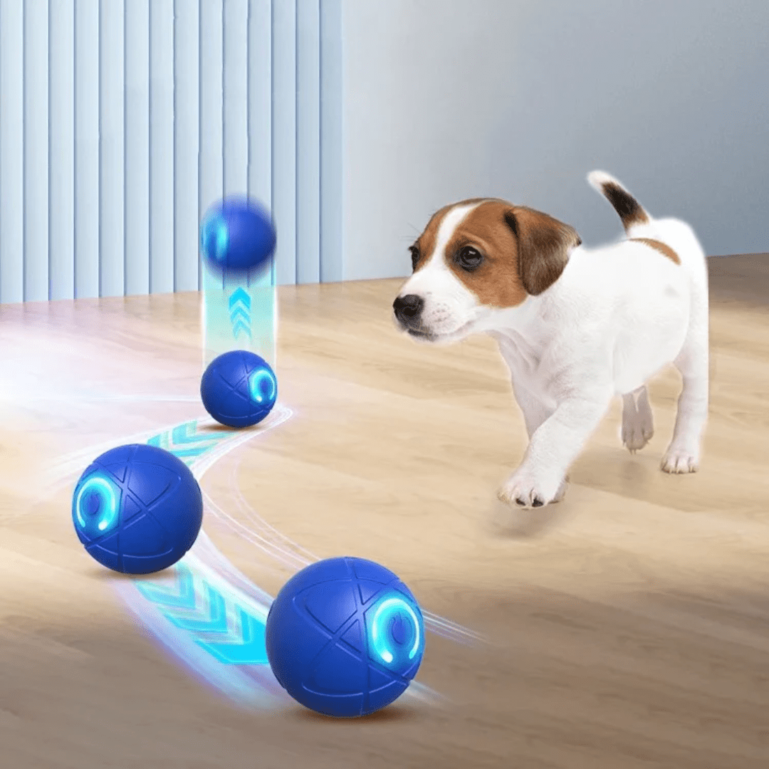 Balle interactive rebondissante pour chien