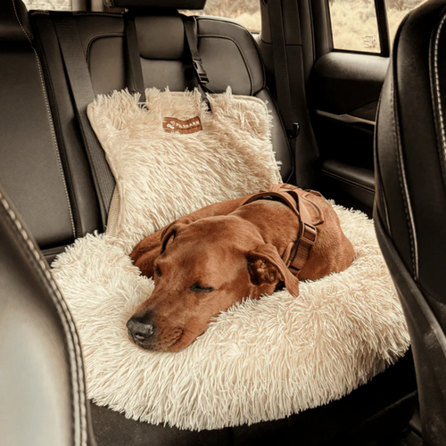 Coussin pour chien