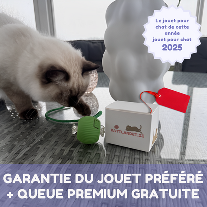 Jouet interactif pour chat